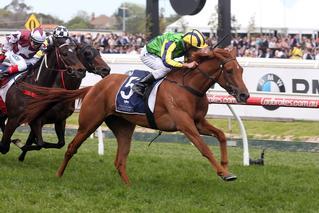 Eleonora, granddaughter of Ethereal, winning the 2016 Group 3 New Zealand Bloodstock Ethereal Stakes.